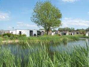 a body of water with a tree and buildings at Casa-MiU am Wasser - Olburgen - perfekt für Familien - mit Freibad, Sauna, Restaurant und Spielplatz in Olburgen