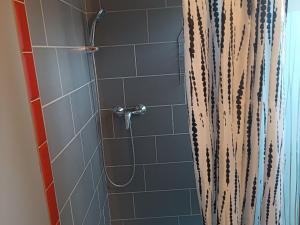 a shower with a shower curtain in a bathroom at Gîte spacieux avec salle de jeux, tennis et cheminée, idéal pour familles et amis jusqu'à 15 pers. - FR-1-410-223 in Saint-Jean-de-la-Motte +9 photos