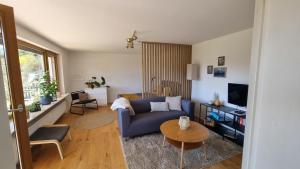 TV a/nebo společenská místnost v ubytování Traumhafte Gartenwohnung in Überlinger Hanglage - Zur goldenen Kiwi