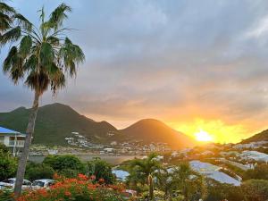 Una puesta de sol sobre una ciudad con una palmera en Sweet Candy - Studio Spacieux avec Vue Mer à Baie Orientale - FR-1-734-31, en Cul de Sac