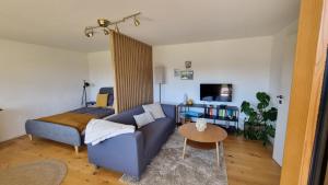 TV a/nebo společenská místnost v ubytování Traumhafte Gartenwohnung in Überlinger Hanglage - Zur goldenen Kiwi + 13 fotografií