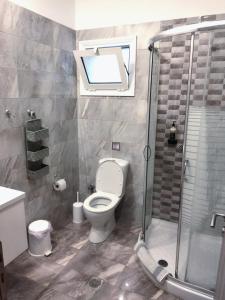 a bathroom with a toilet and a shower at Mirsini Apartments in Agios Georgios