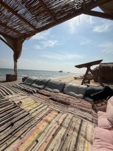 Φωτογραφία από το άλμπουμ του Sea View Camp σε Wāsiţ