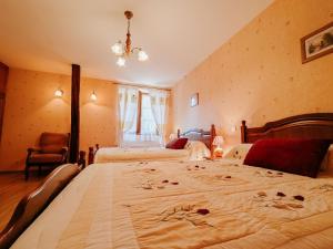 Gîte familial calme avec jardin, près du lac d'Éguzon et des plus beaux villages de la Creuse - FR-1-591-100 في Saint-Plantaire: غرفة نوم بها سريرين وثريا