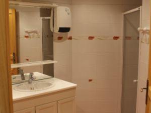 ein Badezimmer mit Waschbecken und Dusche in der Unterkunft Gîte de charme avec cheminée, terrasse et garage à Brixey-aux-Chanoines - FR-1-585-10 in Brixey-aux-Chanoines + 16 Fotos