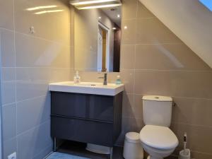 Koupelna v ubytování Maison charmante rénovée avec jardin près de Fontainebleau et de la forêt d'Orléans - FR-1-590-114 + 15 fotografií