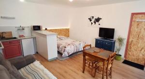 un soggiorno con letto e tavolo e una cucina di Appartement centre-ville ad Aurillac