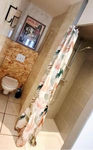 un bagno con un water e una tenda da doccia di Appartement centre-ville ad Aurillac