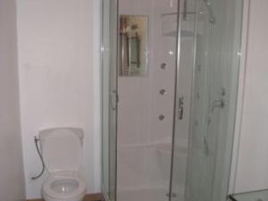 a bathroom with a shower and a toilet at Gîte rénové avec terrasse près de Nancy - Calme et charme garanti - FR-1-584-35 in Tonnoy