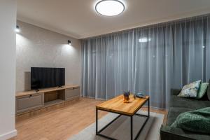 un salon avec un canapé et une télévision dans l'établissement Willa Bukowy Las - Everslow, à Szklarska Poręba