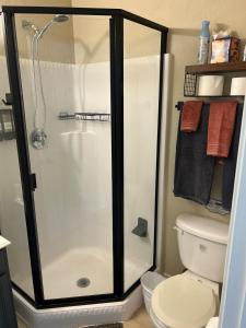 una cabina de ducha en un baño con inodoro en Minutes to UTA, AT&T Stadium, Globe Life Field, en Arlington