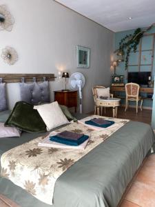 ein Schlafzimmer mit großem Bett und ein Wohnzimmer in der Unterkunft "MAS TRAMONTANE "ancien mas agricole avec chambres d'hôtes, studio, parc arboré, piscine et sa vue face au Canigou in Ille-sur-Têt + 63 Fotos