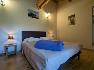 une chambre avec un lit avec un oreiller bleu dessus dans l'établissement Maison de caractère avec grand terrain, proche d'Arlempdes, labels ECOGÎTE et Tourisme & Handicap - FR-1-582-118, à Arlempdes