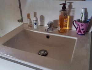 Ein Waschbecken mit Flaschen und einem Wasserhahn auf einer Arbeitsplatte in der Unterkunft Chambre indépendante calme pour femmes, en forêt, 1km plage in Deshaies