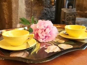 two yellow cups and saucers on a tray with flowers at Cocon au cœur du Puy-en-Velay avec cour privée et WIFI - FR-1-582-325 in Le Puy en Velay