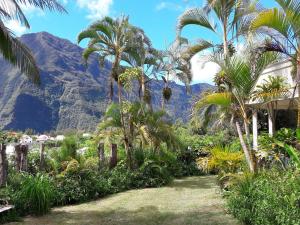 Příroda nedaleko prázdninového domu