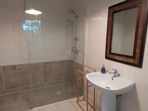 a bathroom with a sink and a shower and a mirror at Gîte calme en forêt, proche Gien, 3 chambres et 2 salles d'eau - FR-1-590-555 in Ouzouer-sur-Trézée +17 photos