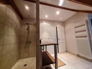 ein Badezimmer mit Dusche und Waschbecken in der Unterkunft Maison Rustique Familiale en Sologne avec Grands Espaces, Proche Châteaux de la Loire - FR-1-590-1 in Ardon + 13 Fotos