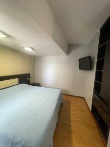 Televiisor ja/või meelelahutuskeskus majutusasutuses Mono ambiente microcentro