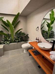 Vannituba majutusasutuses Hotel Libreria Cafe de Pombal +50 fotot