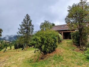 Příroda nedaleko prázdninového domu + 7 fotografií