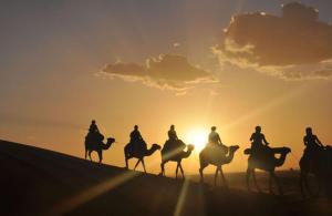 Άλλα ζώα σε αυτό το καταφύγιο ή στη γύρω περιοχή