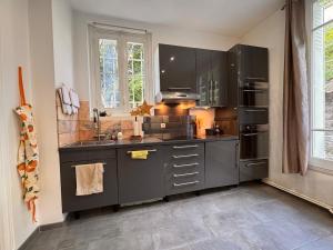 une cuisine avec des armoires grises et un évier dans l'établissement Villa des sources en bord de Seine, à La Celle-sur-Seine