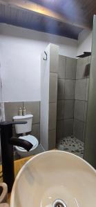 un bagno con un water e un lavandino di MONTE CABAÑA San Clemente a San Clemente