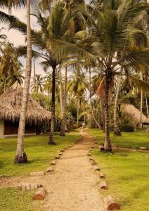 a path with palm trees and a person walking down it at Santuario Playa Bonita in Buritaca +46 photos