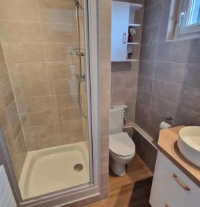アヌシーにあるLe Petit Nid Annecyのシャワー、トイレ、洗面台を備えたバスルーム