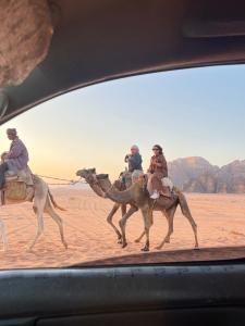 a group of people riding camels in the desert at Lunara Desert Luxury Camp in Wadi Rum