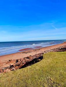 een uitzicht op een strand met de oceaan bij Blue Ocean Cove Beach House in Saint Peters +31 foto's