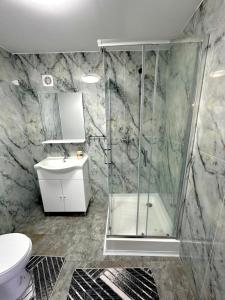 a bathroom with a shower and a toilet and a sink at Le Charme Hostel in Bucharest