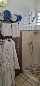 a bathroom with a shower and towels on a shelf at Le Nid De Bellemont in Trois-Rivières +49 photos