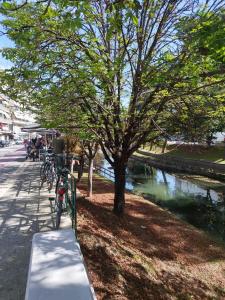 Výhled na řeku, která protéká v blízkosti apartmánu