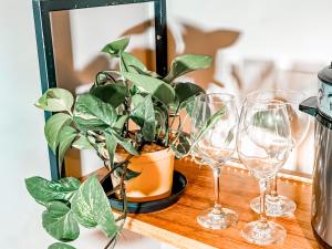 a potted plant sitting on a table with wine glasses at Loft 1178 in Santa Teresa +2 photos