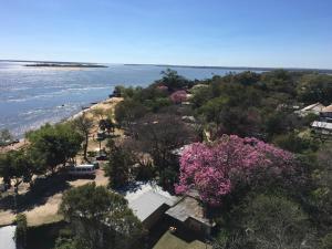 een luchtzicht op een strand met bomen en bloemen bij Torre Costanera Norte in Corrientes