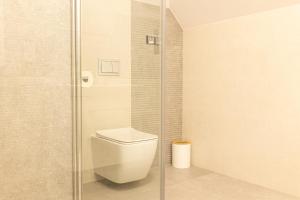une salle de bain avec toilettes et douche en verre dans l'établissement Spokojny Apartament u Słodyczki w Kluszkowcach, à Kluszkowce 45 autres photos