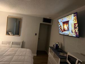 TV a/nebo společenská místnost v ubytování The Mint Motel