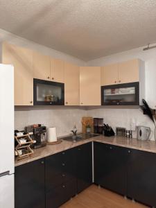 a kitchen with black and white cabinets and appliances at Mountain villa in Gorna Belica - Villa Hani in Struga