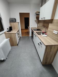 Η κουζίνα ή μικρή κουζίνα στο Waldblick Suite 100 qm +5 φωτογραφίες