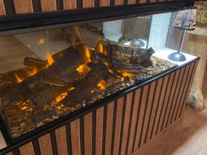 弗朗科尔尚La Roanneuse - Cosy Chalet的壁炉内燃着火焰的火 更多39张照片