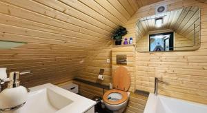 Ένα μπάνιο στο Pensiunea Codru