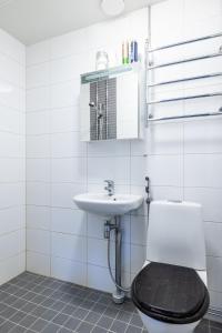 a bathroom with a toilet and a sink at Bright Loft Apartment Steps From Linnanmäki & Alppipuisto in Helsinki