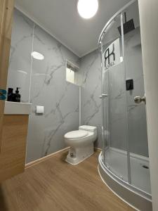 Un baño con inodoro y ducha en Hotel RK, en Antofagasta