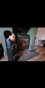 The Cosy House في ويلينغتون: غرفة بها مدفأة وكلب في دلو