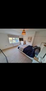 The Cosy House في ويلينغتون: غرفة نوم بسرير كبير ونافذة