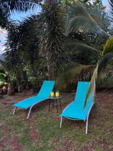 two blue chairs and a table with a palm tree at Résidence Flores De Maria in Le Marin