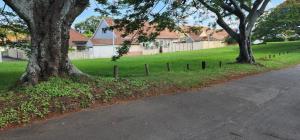 two trees on the side of a road at 18 Laburnum Lodge in Durban