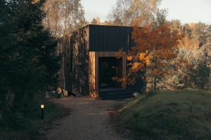 a small building in the middle of a forest at Īves, Koka Maja in Amatciems